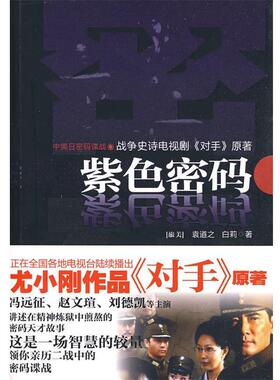 【正版书】 紫色密码 袁道之,白莉 著 宁夏人民出版社