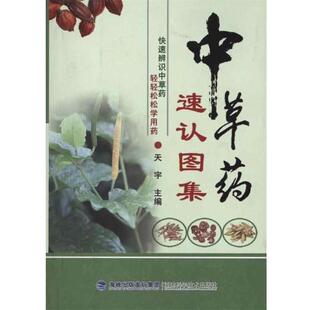 【正版书】 中草药速认图集 天宇　主编 福建科技出版社