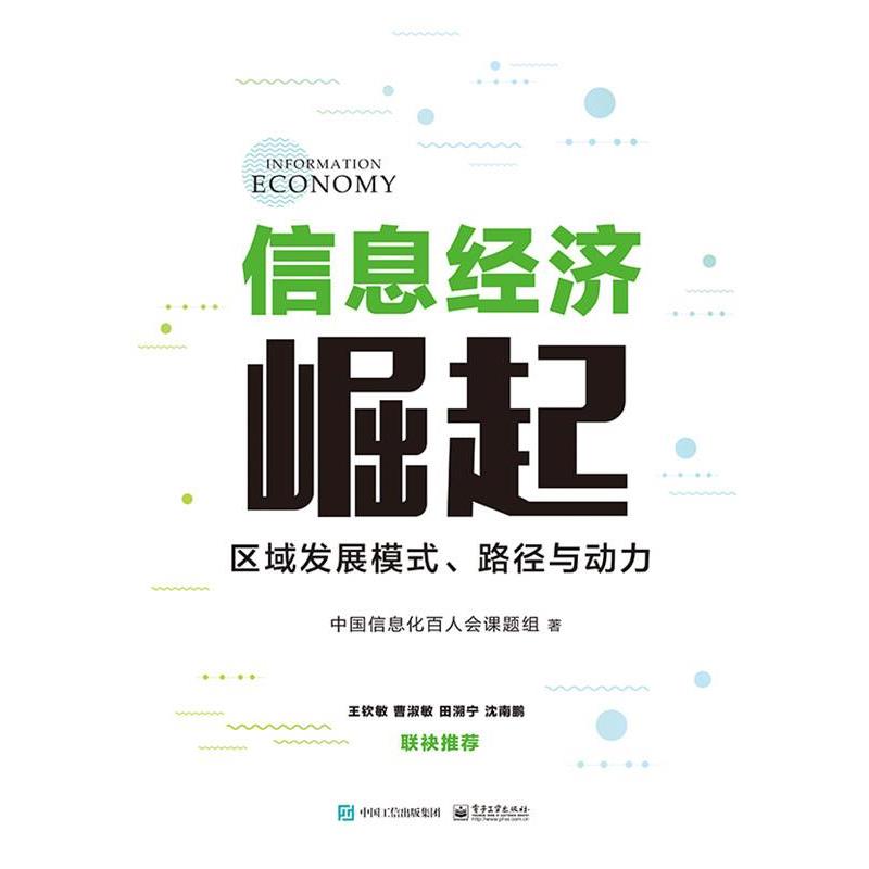 【正版书】 信息经济崛起:区域发展模式、路径与动力 中国信息化百人会课题组 著 电子工业出版社