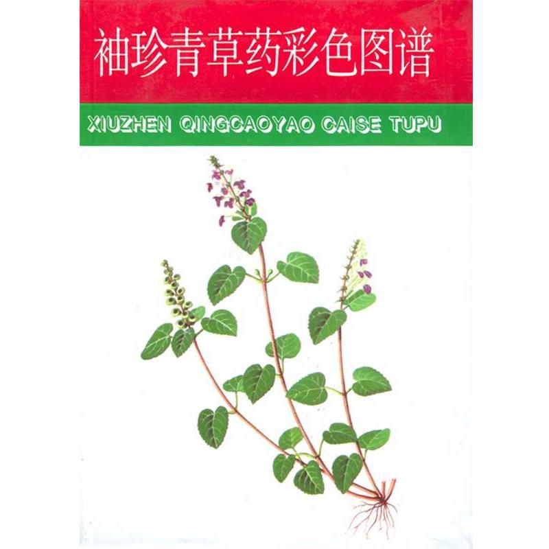 【正版书】 袖珍青草药彩色图谱 赵秀贞 主编 福建科技出版社