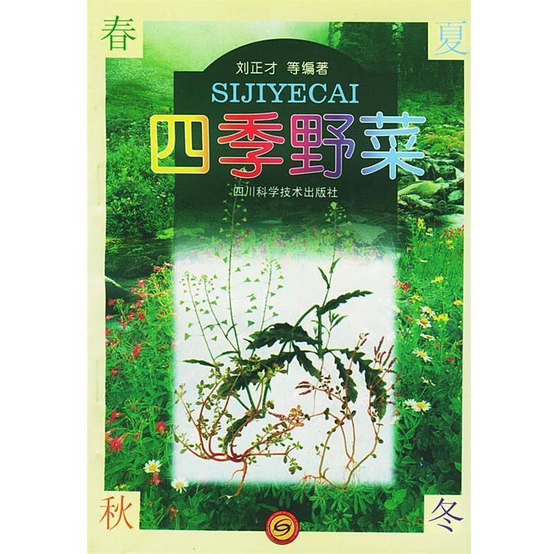 【正版书】 四季野菜 刘正才 四川科技出版社