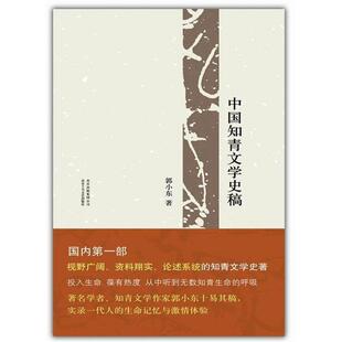 【正版书】 中国知青文学史稿 郭小东著 北京十月文艺出版社