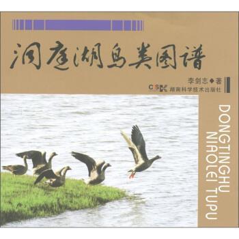 【正版书】 洞庭湖鸟类图谱 李剑志 著 湖南科学技术出版社