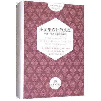 【正版书】 多元现代性的反思：欧洲、中国及其他的阐释 文明与世界译丛 [德]多明尼克·萨赫森迈尔,任斯·理德尔,[以]S.N.艾 商务