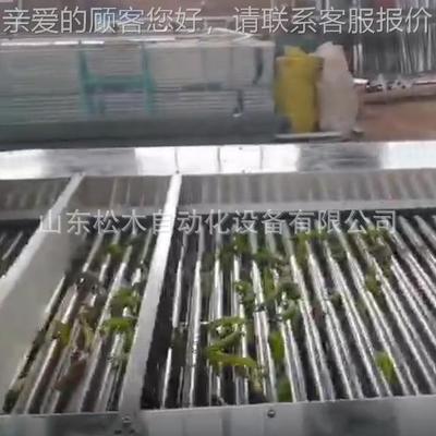 小番茄分设备 西红土豆选柿果GCN选流水线 全自拣动滚杠重量分机
