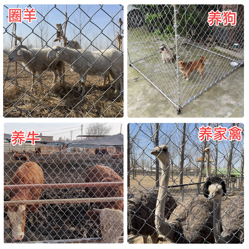 镀锌钢丝网勾花铁丝网围栏网养殖网护栏狗牛羊猪菱形不锈防护围网