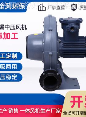 中压防爆风防T机FT795-5/鼓 4KW变频防爆中压风机 EX DIIB4爆风机