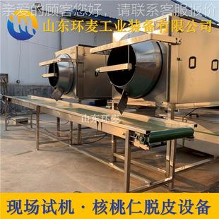 现验机场核桃仁去皮机休闲风味BAN核仁脱 提供工艺指导 皮桃机