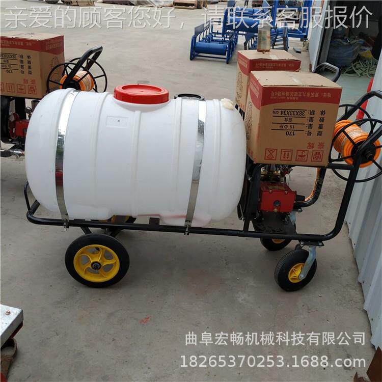 推式电打动药车喷雾农药喷洒果园大棚茶树弥手雾猪场消毒642器机 - 实物图