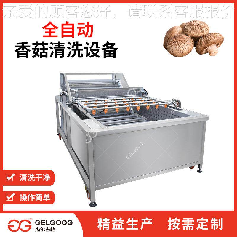 自ZTC动清香菇设备 食品厂杏菇金针菇连续式清洗鲍机洗械菌 菇清