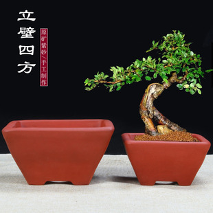 大号斗四方紫砂花盆绿萝多肉兰花盆景绿植光板正口四方陶瓷盆景盆