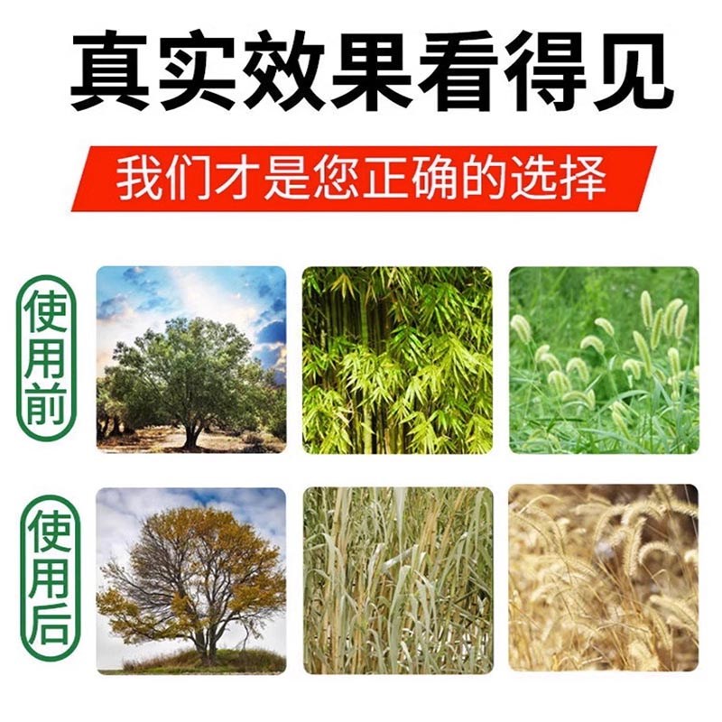 大树烂根强力枯树王烂大树D药强力腐树根一滴死神器L