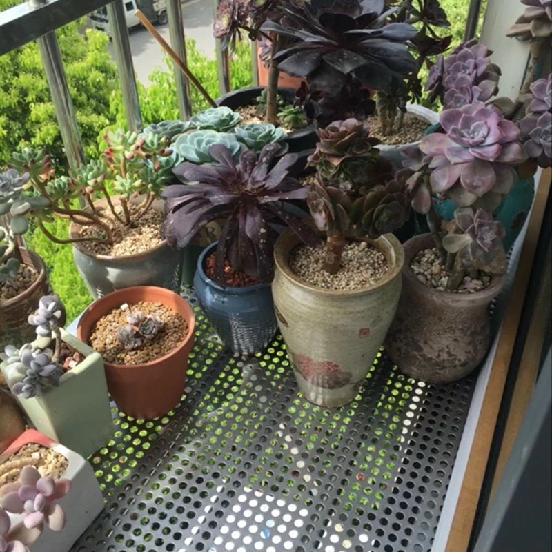 冲孔板 阳台垫板 洞洞板 30y4不锈钢网板镀锌金属网防盗窗花架垫