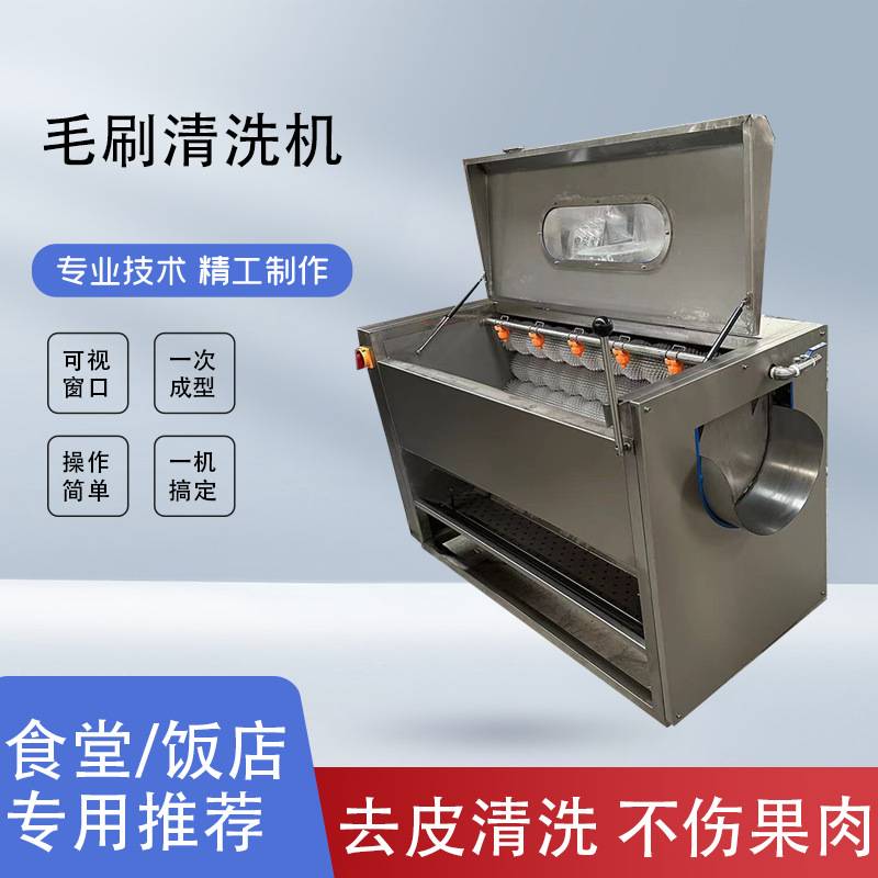 多功能毛刷清洗机果蔬洗菜机土豆清洗去皮机全自动毛棍清洗去皮机