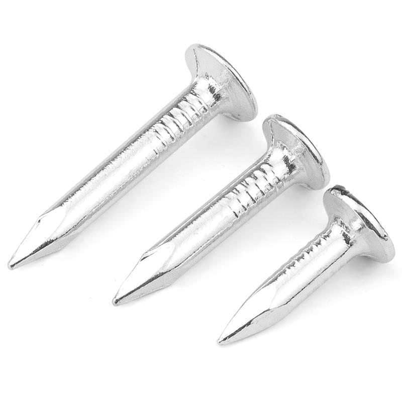 白锌大帽钉钢钉水泥钉屋顶玻纤瓦油毡瓦钉20/25/30mm沥青瓦钉