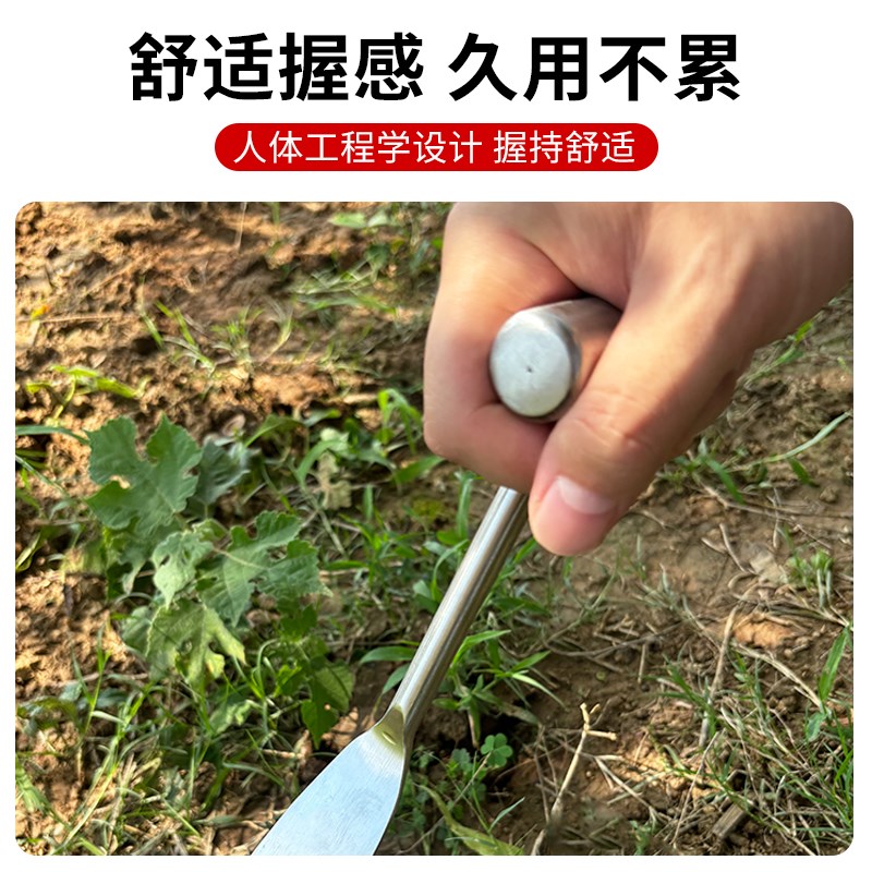 不锈钢铲子挖野菜的小铲子园w艺农用除草神器挖土种菜户外园艺铲