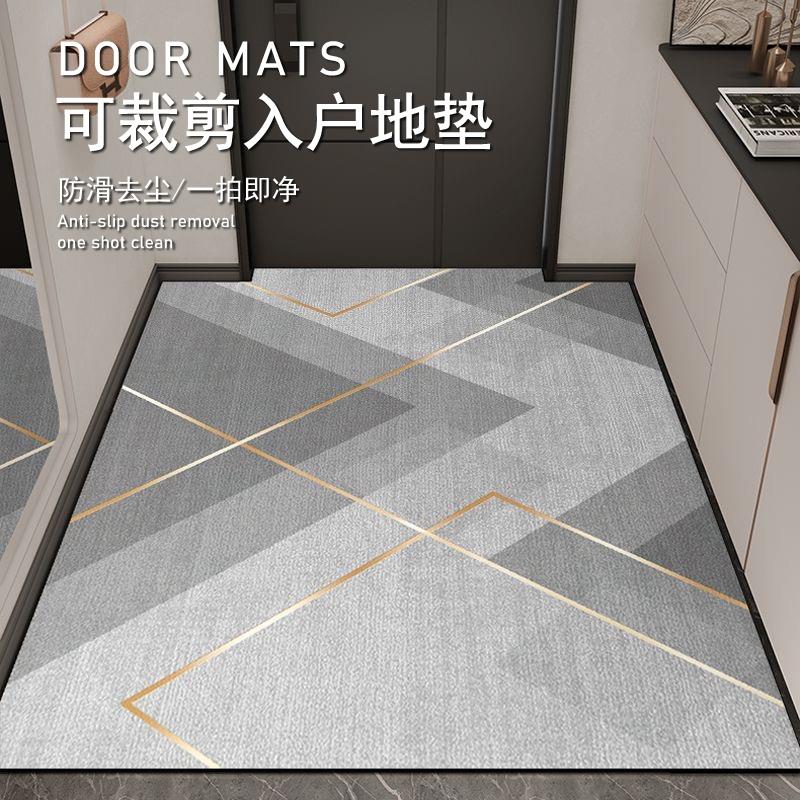 入户门地垫玄关免洗2025新款门口脚垫地毯门垫进门垫可裁剪浴室