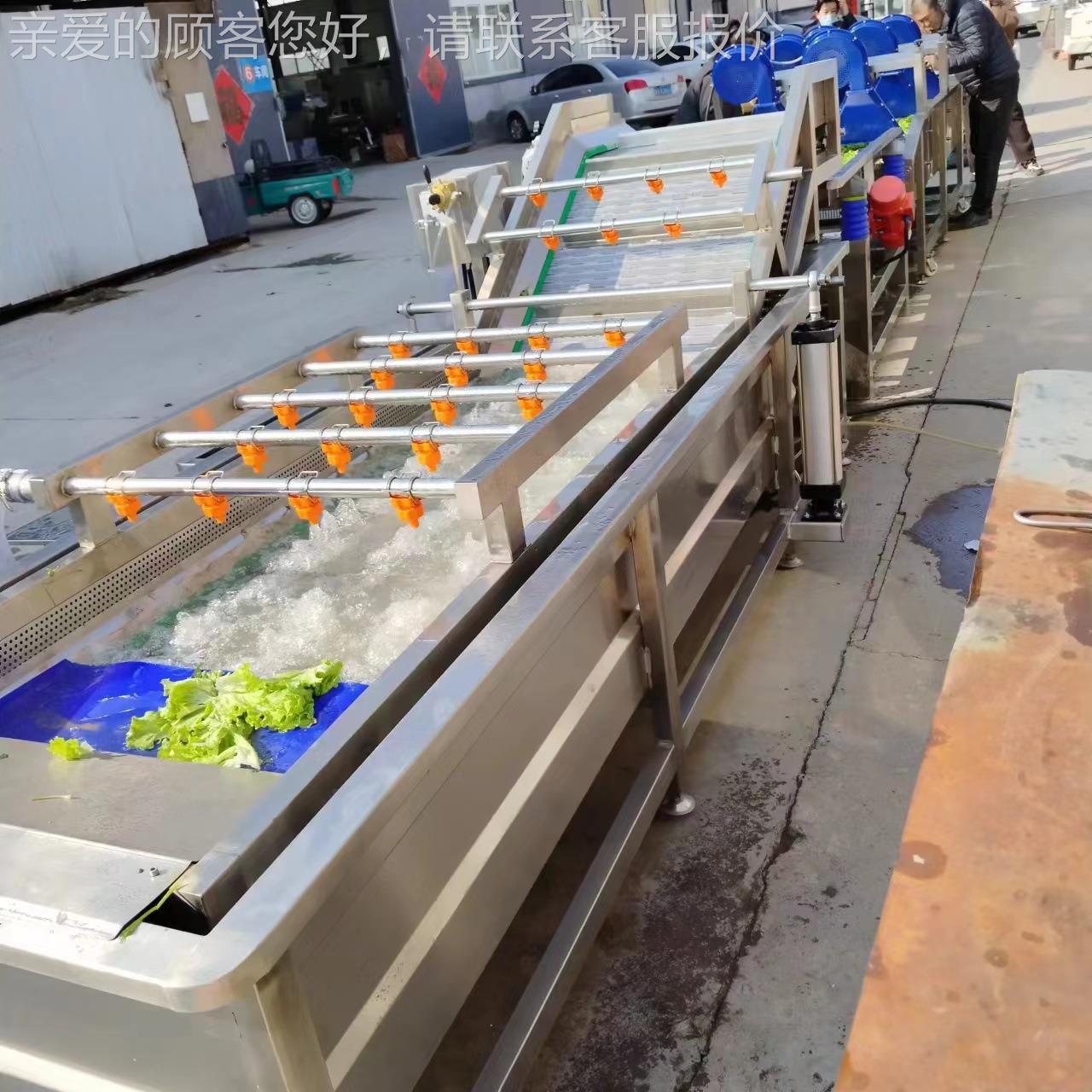 蔬菜水果气SAX泡洗机胡卜翻浪泥清洗设备萝辣椒去清洗线清厂家优