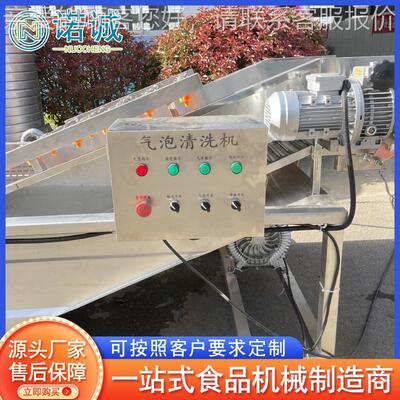 水果洗去农清泡GGU洗流水线 海鲜残水产清洗机 不锈钢蔬菜水果气