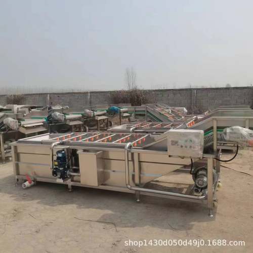 高压喷淋气泡清洗机红薯土豆漩涡震动洗菜机多功能水果净菜预洗机