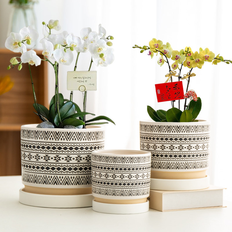 欧式高档浮雕花盆陶瓷带托盘粗陶透气客厅蝴蝶兰绿萝绿植盆栽盆器