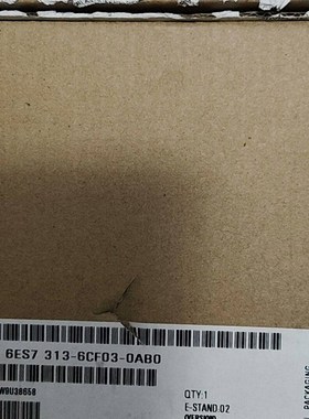 模块6ES7 313-6CF03-0AB0