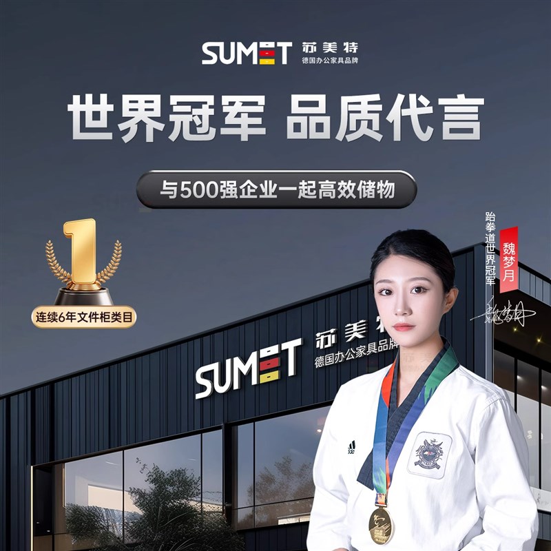 钢制办公室铁皮文件柜财务资料档案柜带锁凭证柜抽屉矮柜储物柜子