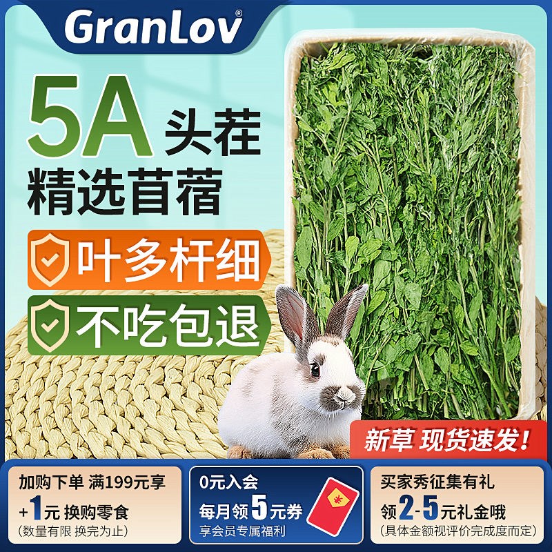 新烘干紫花苜蓿草嫩绿多叶兔子龙猫蛋白增胖肥宠物主粮饲料牧草