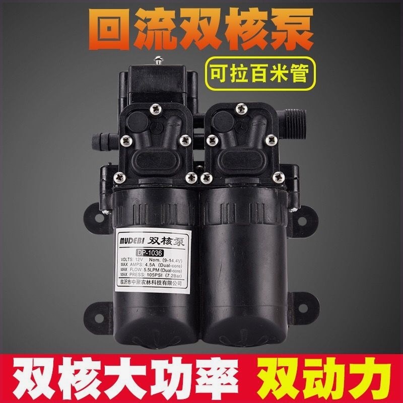 12伏电动喷雾器泵电机小水泵12V自吸隔膜泵高压智能泵洗车泵配件
