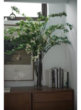 花曌 小手球鲜花鲜切花真花水养家居瓶插花斗柜子茶几餐桌面插花