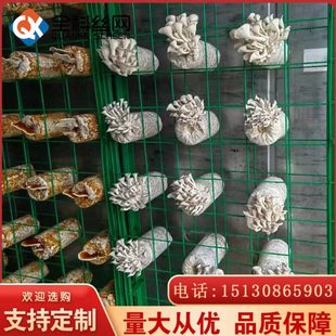 智慧方舱食用菌菇架 温室大棚蘑菇架子厂家 蘑菇种植架