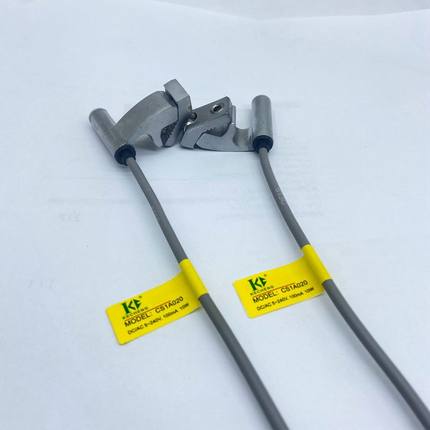 SC气缸磁性感应开关CS1A020 /AC 5-240V 100MA 10W DS1-A CS1-A
