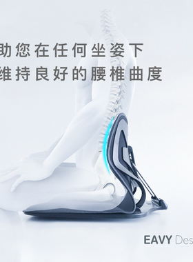 EAVY 颐撑腰座 新款 护腰坐垫靠垫 坐姿矫正 保护腰椎 防止腰累