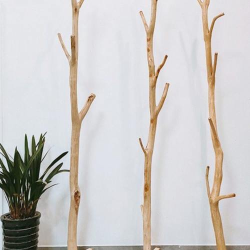 干树枝落地衣帽架实木加固加粗树杈挂衣架家用卧室简约原木风创意