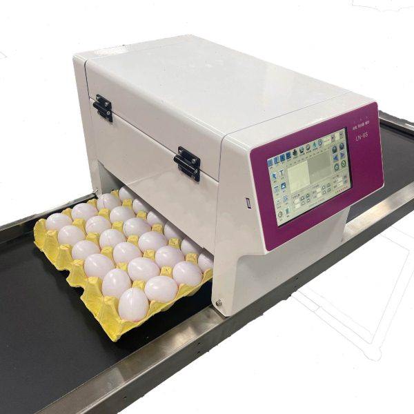 六头鸡蛋油墨商标日期油墨喷码机器在线油墨墨水喷码设备厂家,办公设备/耗材/相关服务,条码扫描枪,淘宝优惠券,粉丝福利购,淘宝优惠卷