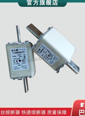 170M4863D 4864D 4865D 4866D 4867D 巴斯曼快速熔断器保险丝