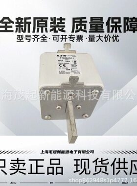 170M6081 170M6810D 170M6811D 170M8554D 170M8550 巴斯曼熔断器