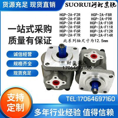 拖拉机低噪音齿轮泵HGP-2A-F3R/F4R/F5R/F6R/F8R/F9R/10R/11R/12R