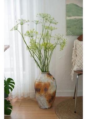 花曌 【茴香花】【鲜花真花】【水养鲜花】【家居瓶插花】