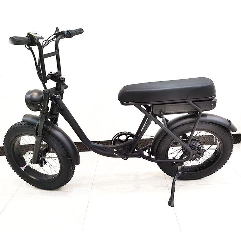 雪地电动自行车成人宽胎电动自行车20寸双驱助力电动自行车电动车