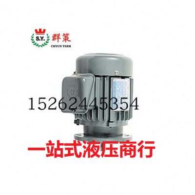 C05-43B0群策SY电机0.37/0.75/1.5/2.25/3.75/5.6/7.5/11/15KW2.2