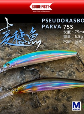 GUIDEPOST路标麦穗鱼缓沉短舌板米诺磁轨钨钢中心远投路亚饵假饵