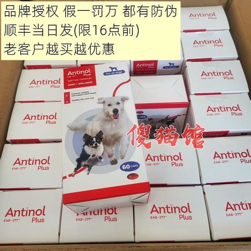带防伪 Antinol安它诺EAB-277软骨素猫狗关节炎保健60粒 安替诺