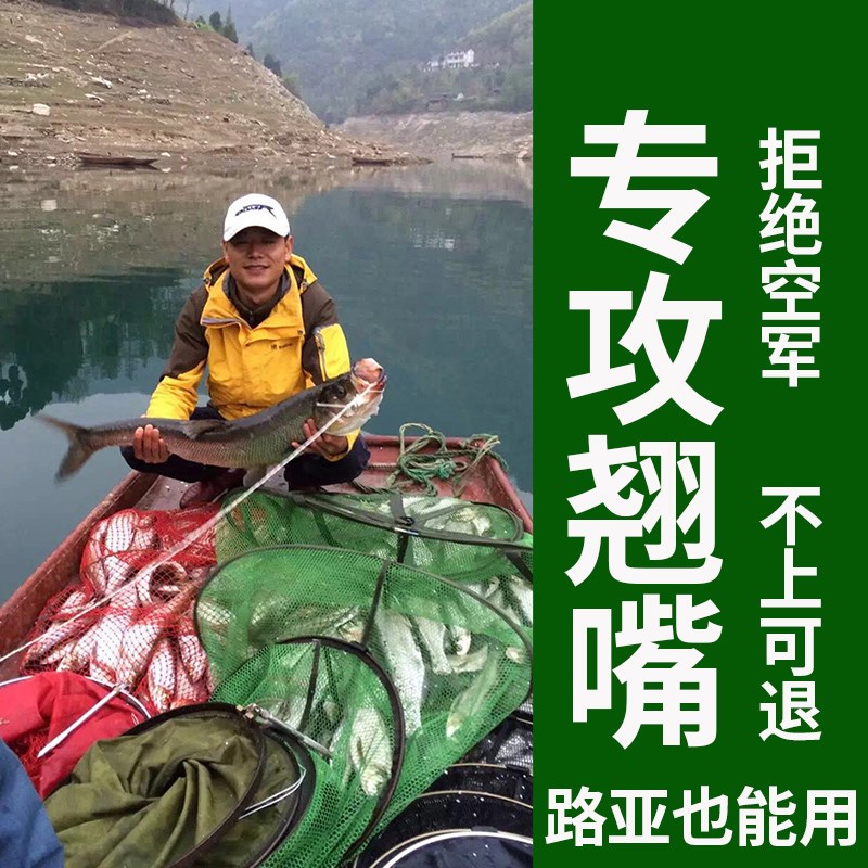 专攻翘嘴钓鱼小药饵料添加剂路亚泡假饵专用诱鱼剂野钓黑坑大白条