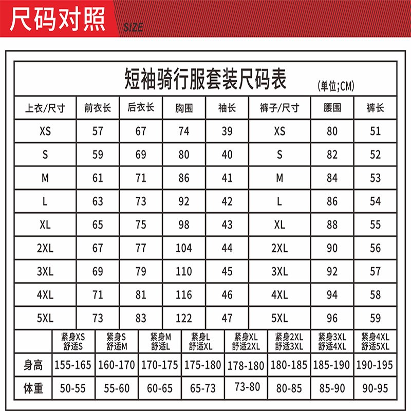 PAS骑行服男夏季薄款透气短袖套装山地自行车速干短上衣背带短裤