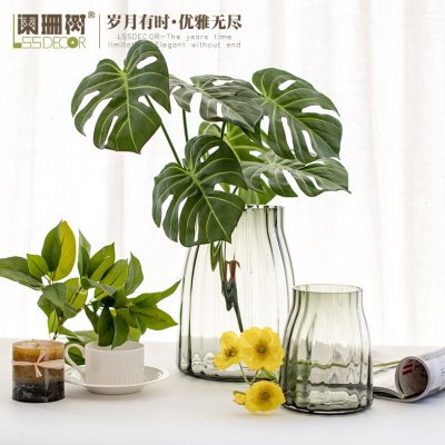 现代简约黛冉插花花瓶北欧大号透明水培玻璃花瓶客厅创意花瓶摆件