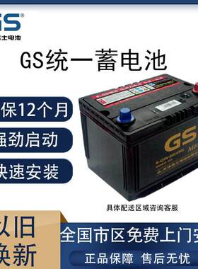 GS统一电池12V60A适配卡罗拉花冠比亚迪雅阁天籁奇骏帝豪汽车电