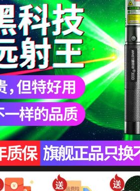 惠斯特303D 大功率激光笔绿光激光手电售楼射笔usb充电强光远射激