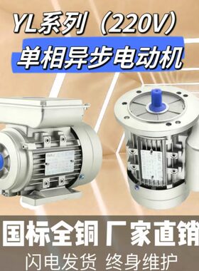 YC YL ML6314 6324 7114 7124 8014 8024 Y90L-4 Y90L-4全铜电机