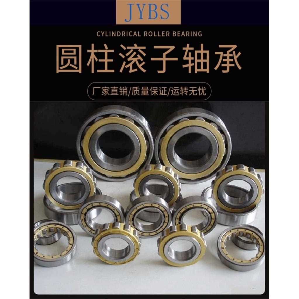 JYBS精扬轴承RN304 305 306 307 308 309 310 311 312 313 328M